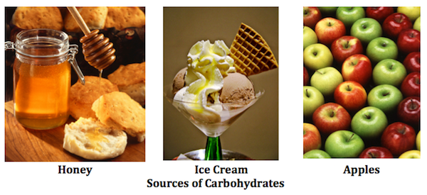 Carbohydrates are composed of three elements