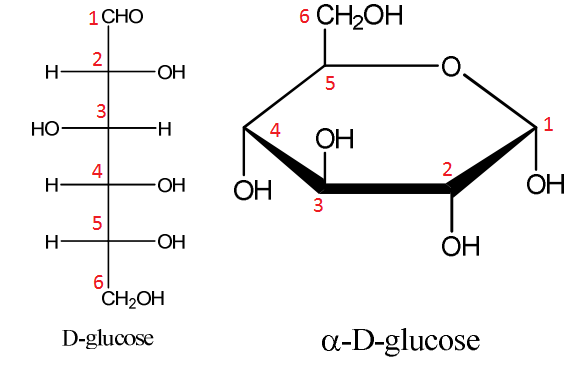 D-Glucose for Carbohydrates