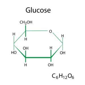 Glucose structure for carbohydrates 